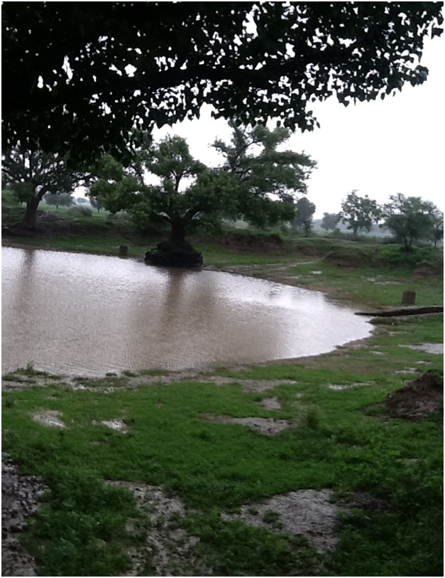 rainwater harvesting pond during monsoon