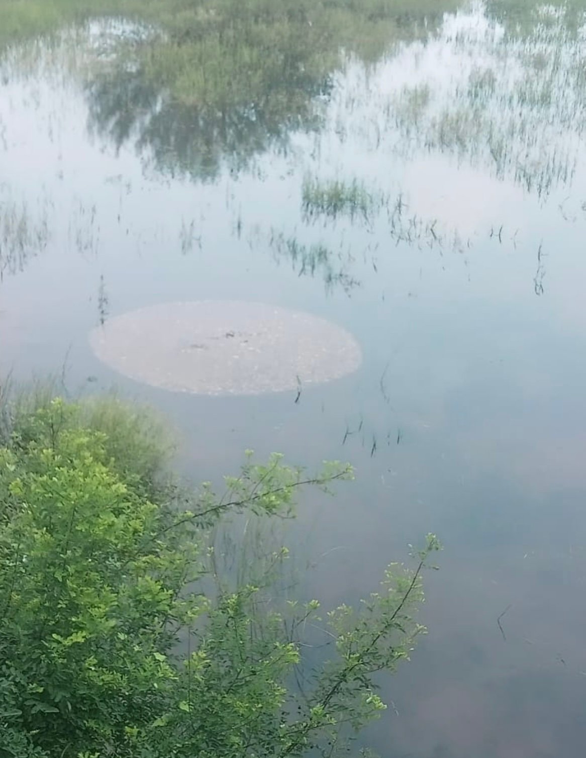 SILVERON recharge shaft operating submerged during severe monsoon flooding in Yamunanagar Haryana